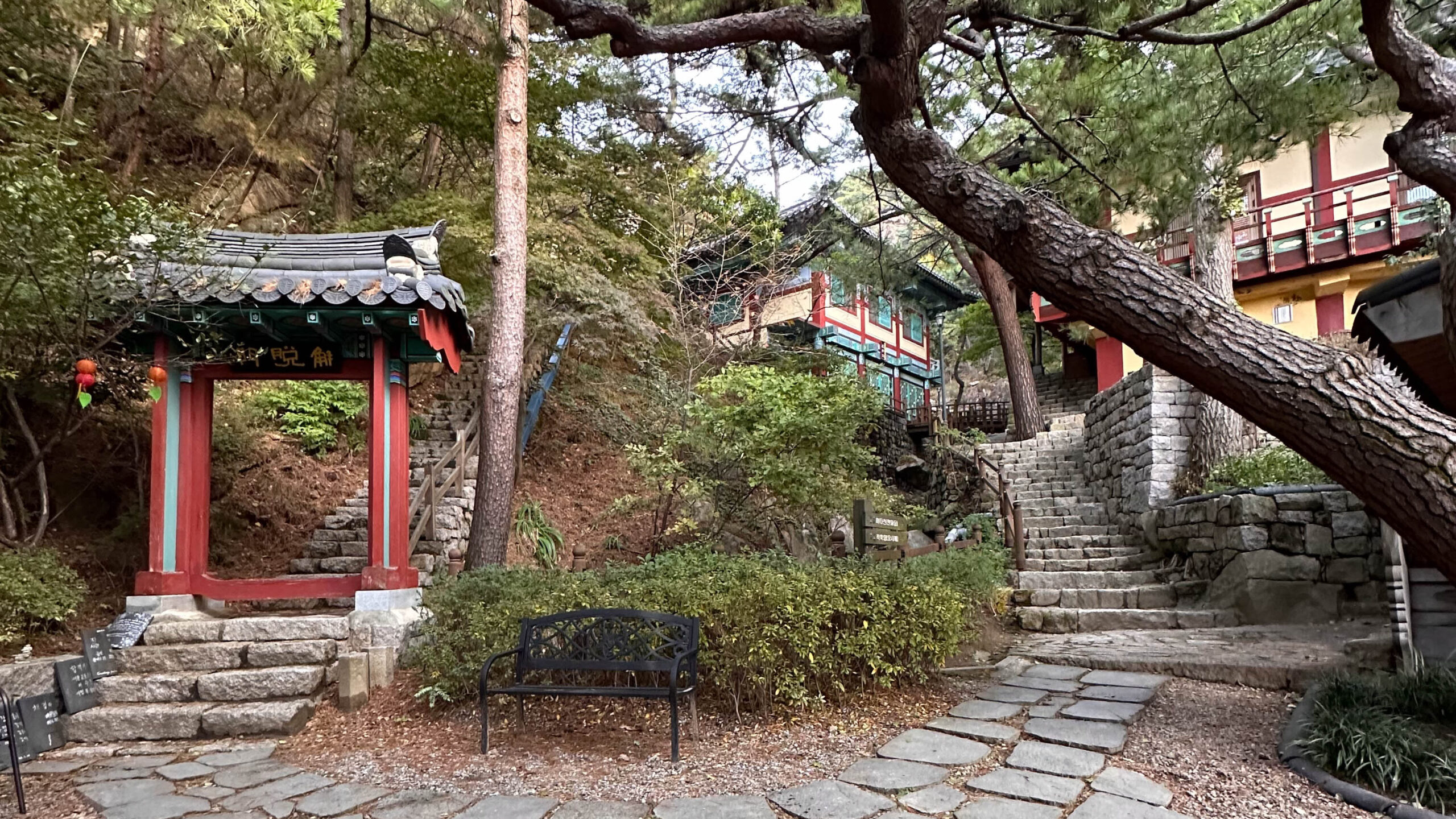 viaggio in corea del sud dormire in un tempio buddista