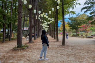 Cosa fare in Corea del Sud Nami Island