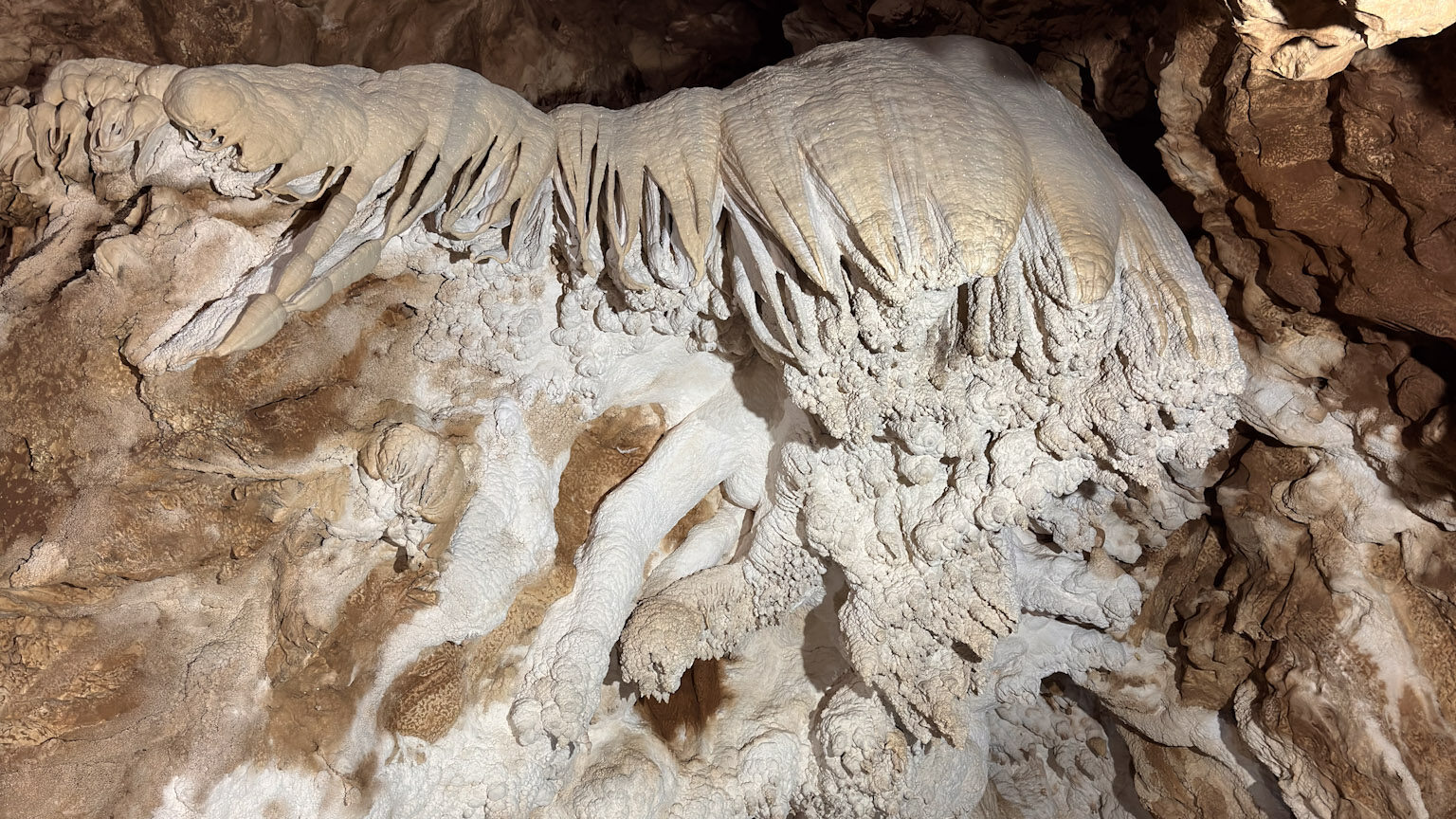 le grotte di falvaterra stalattiti e stalagmiti