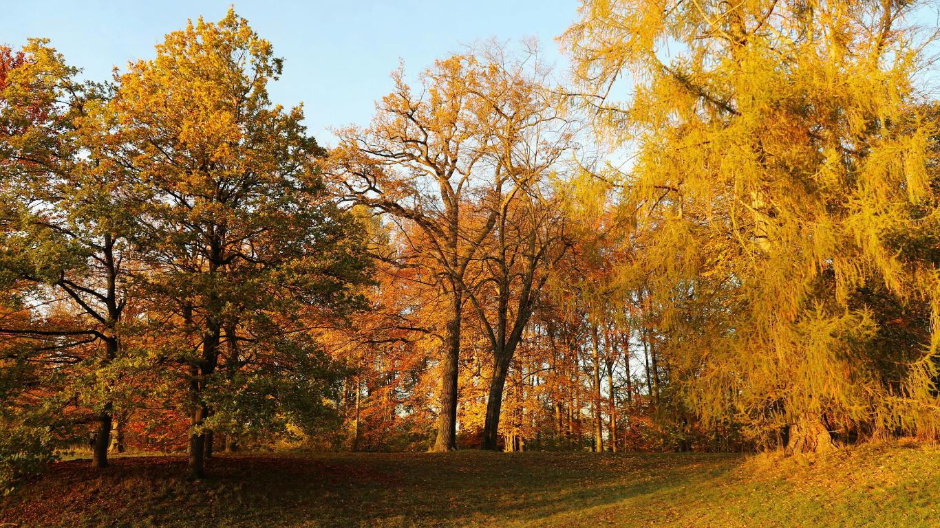 parco per il foliage in italia